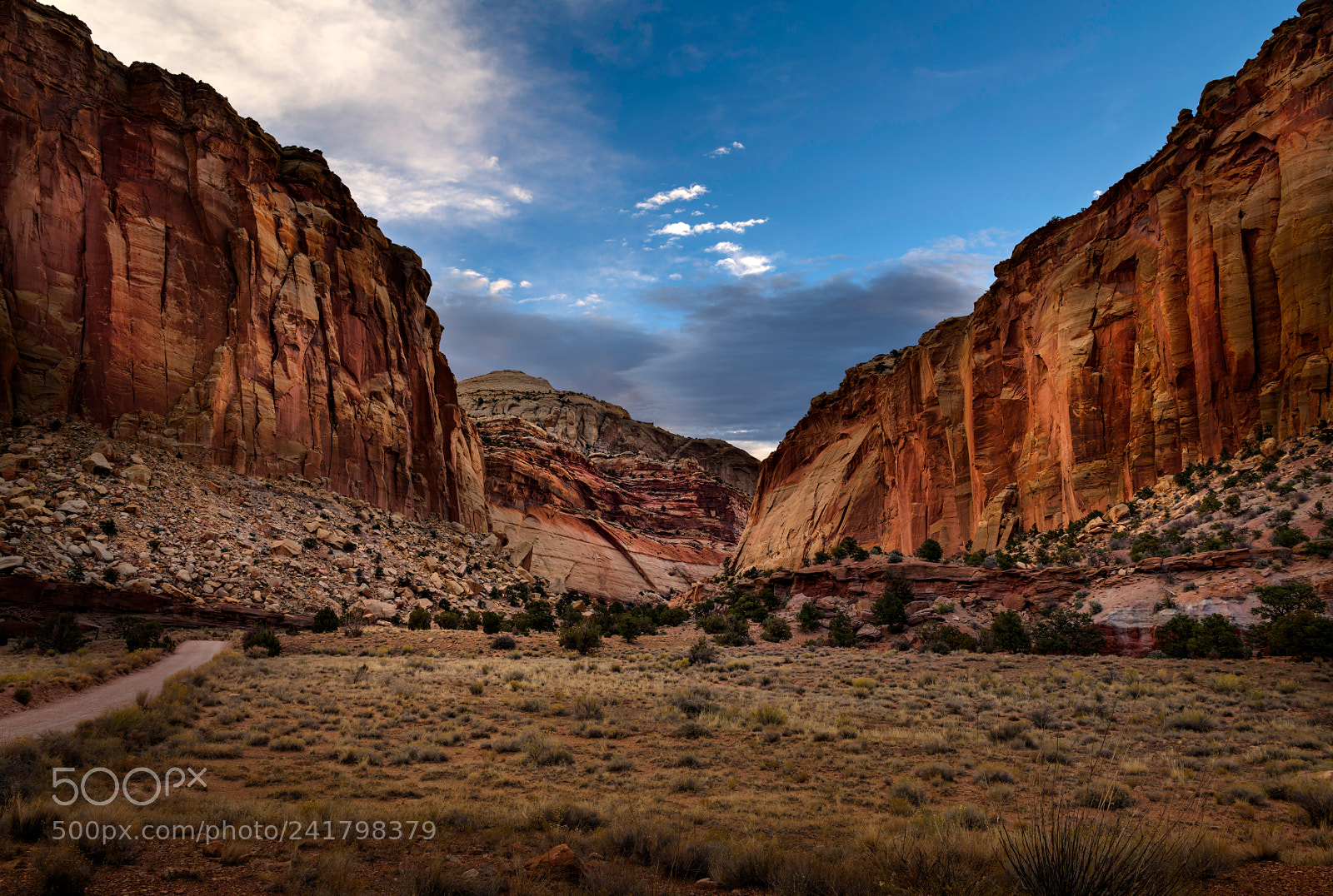 Nikon D850 sample photo. Capitol reef national park photography