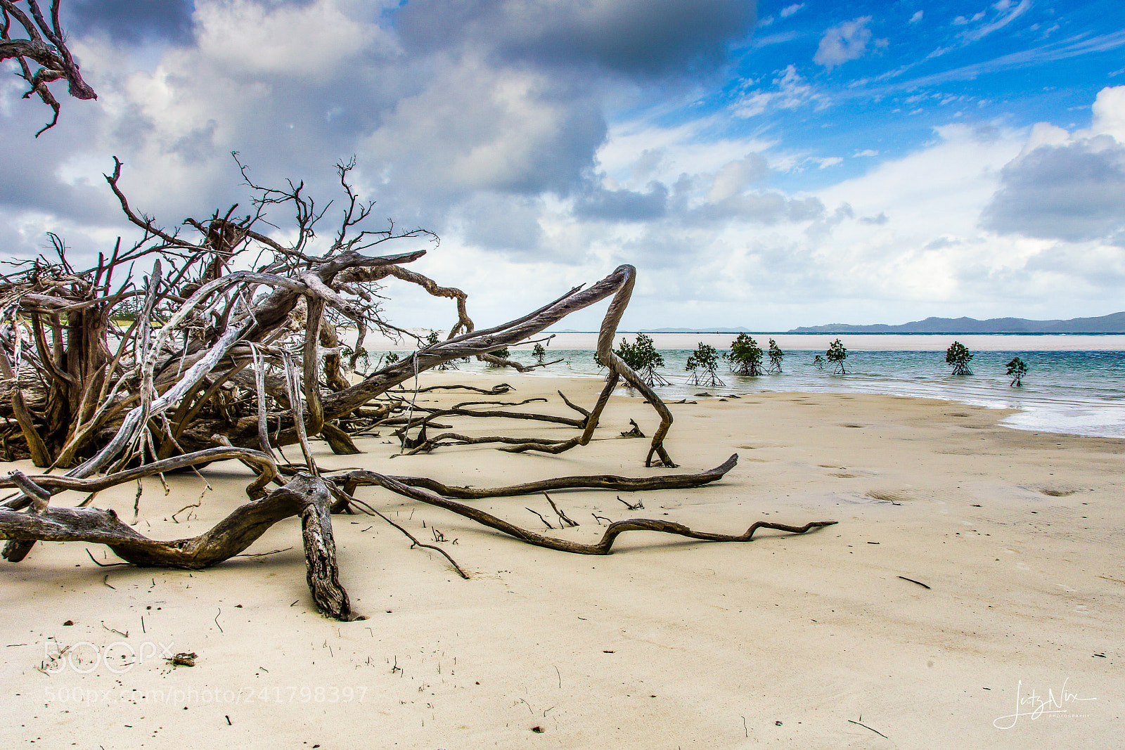 Sony SLT-A65 (SLT-A65V) sample photo. Driftwood photography