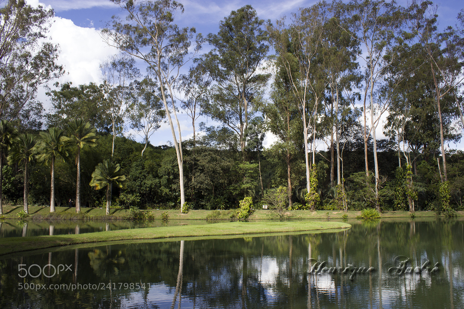 Canon EOS 600D (Rebel EOS T3i / EOS Kiss X5) sample photo. Inhotim - mg photography
