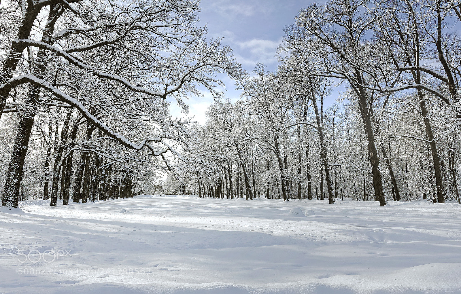 Pentax K-5 sample photo. Snowy winter.. _6_ photography