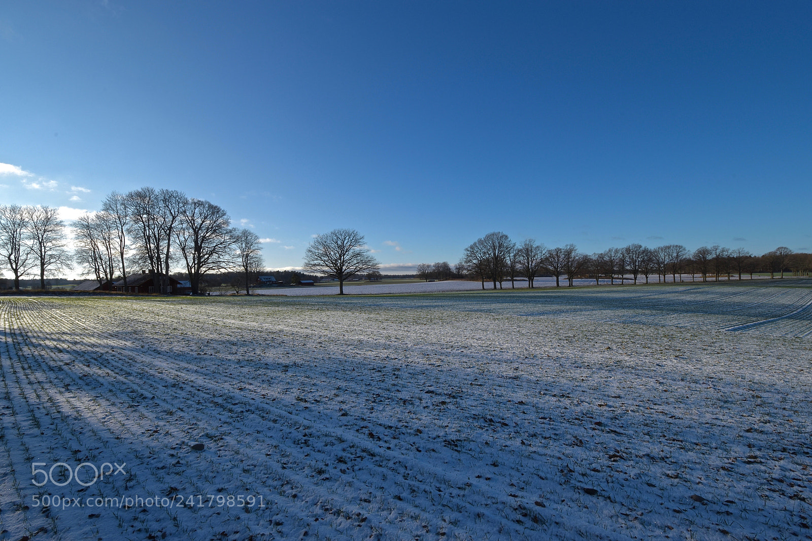 Nikon D5500 sample photo. Perspective photography