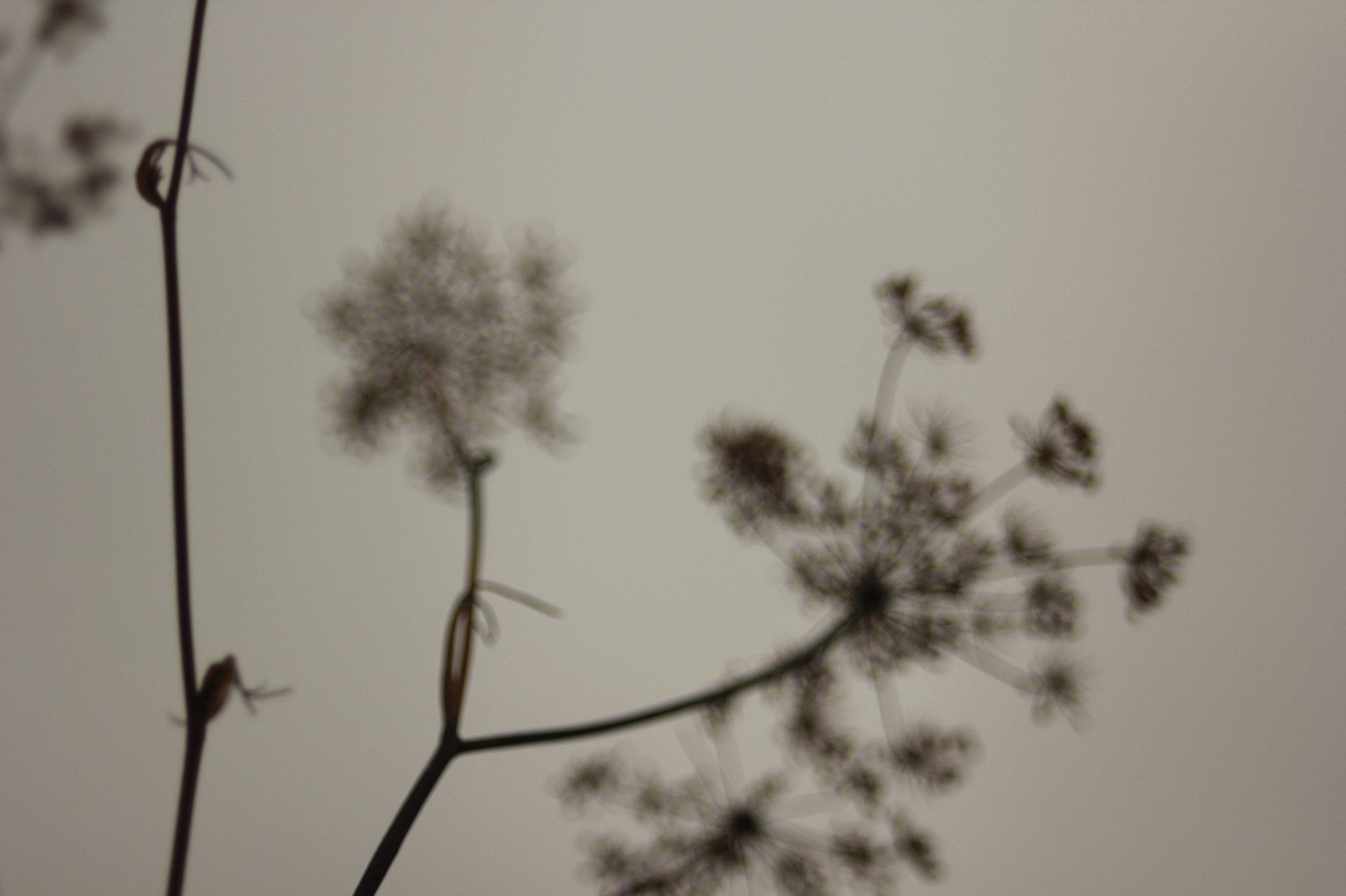 Canon EF 35-80mm f/4-5.6 sample photo. 13' 9 photography