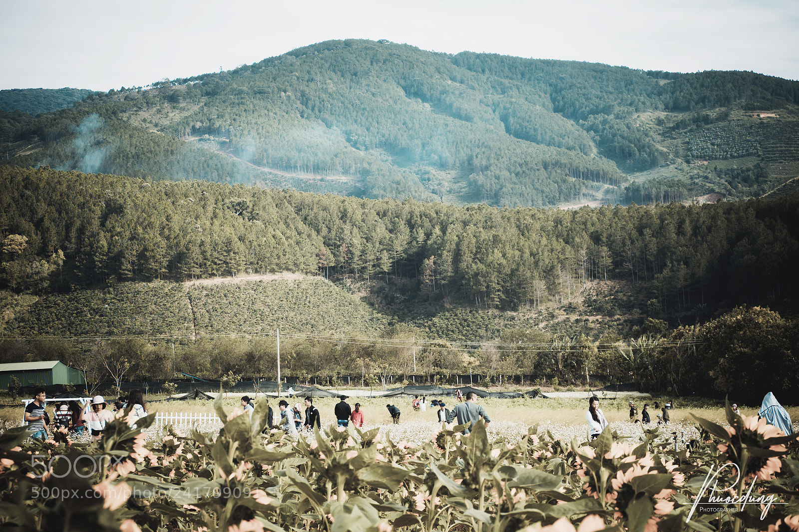 Olympus OM-D E-M10 sample photo. Landscape in vietnam photography