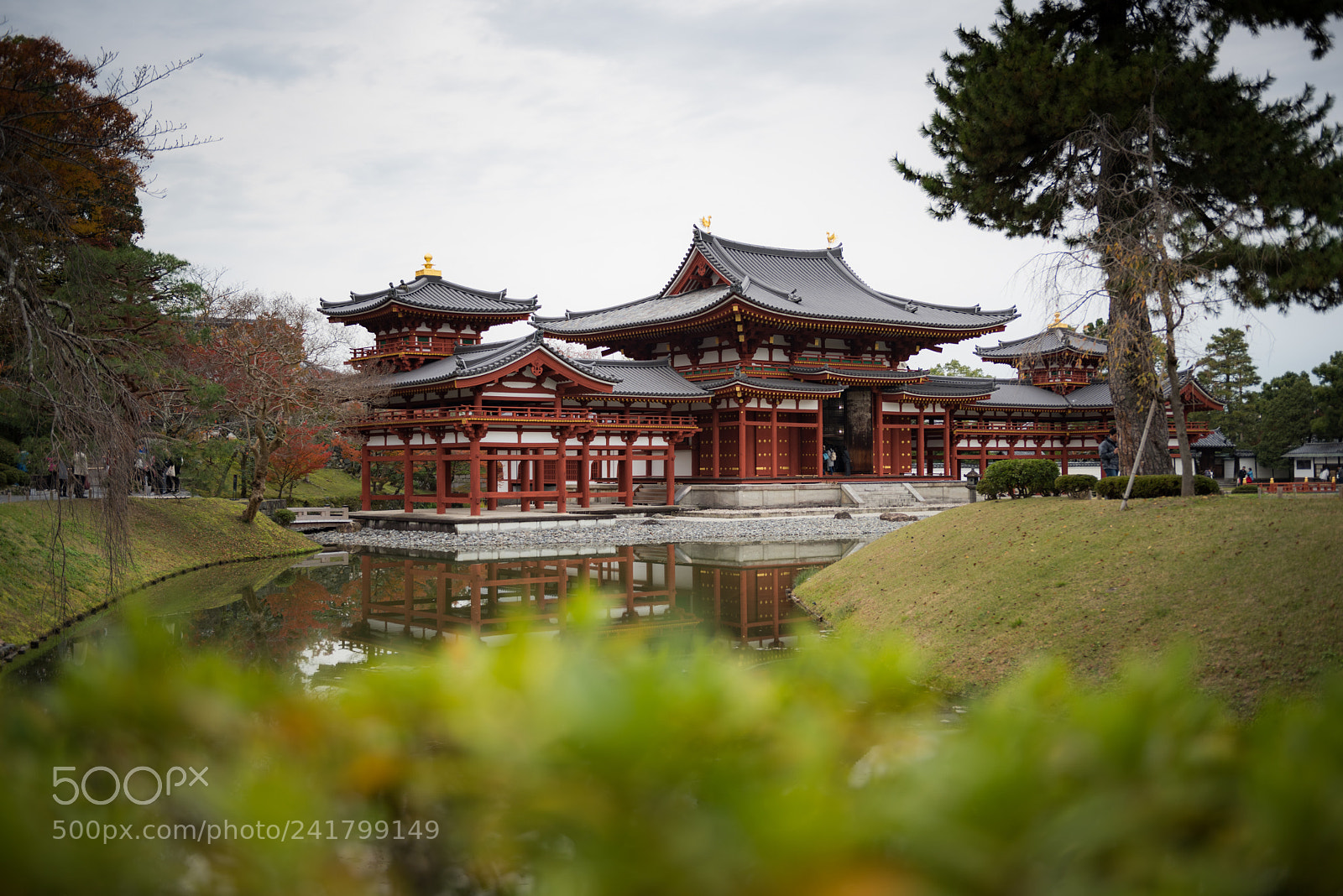 Nikon D810 sample photo. Byodoin temple photography