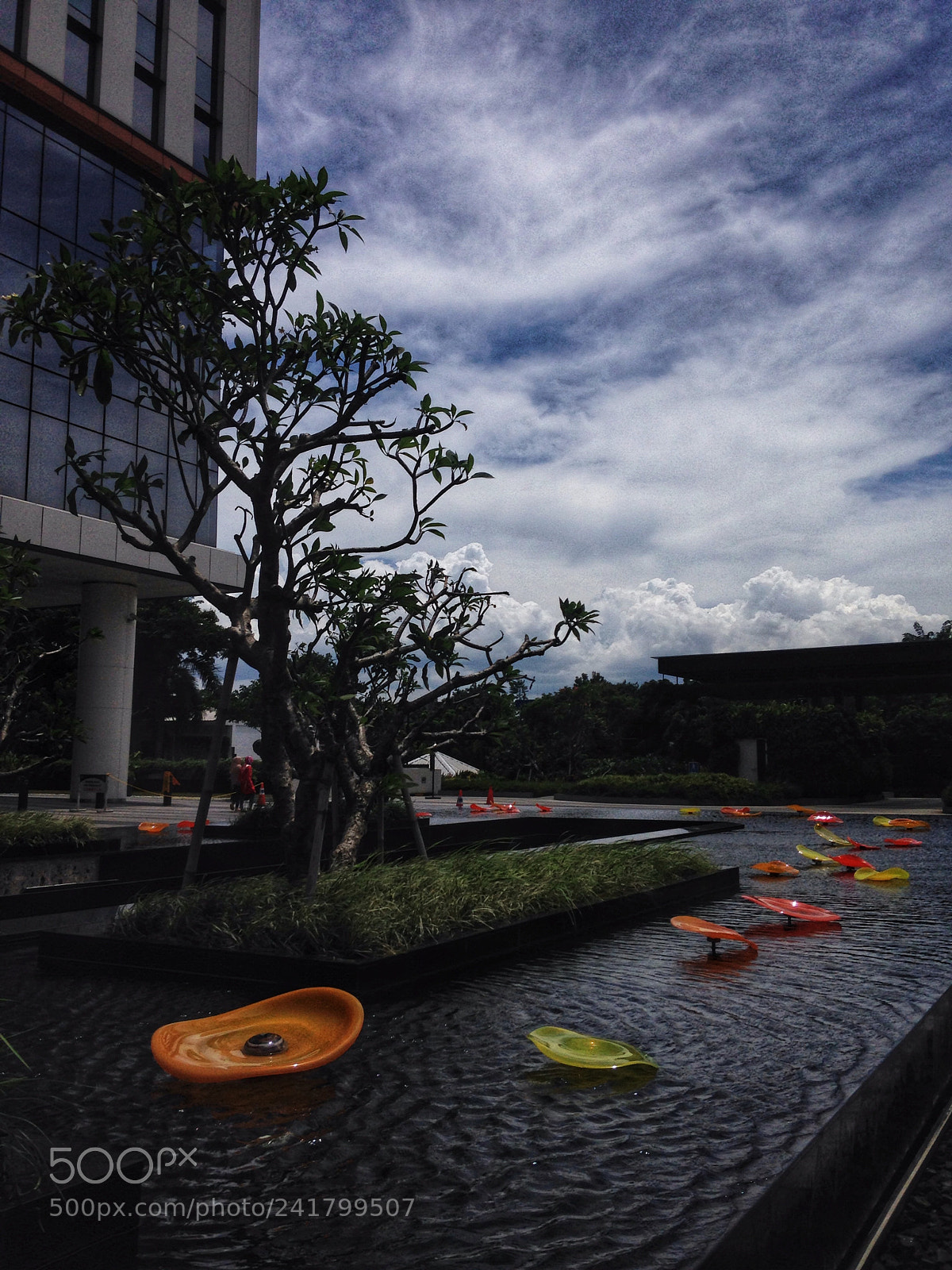 Apple iPhone 5c sample photo. Untitled photography