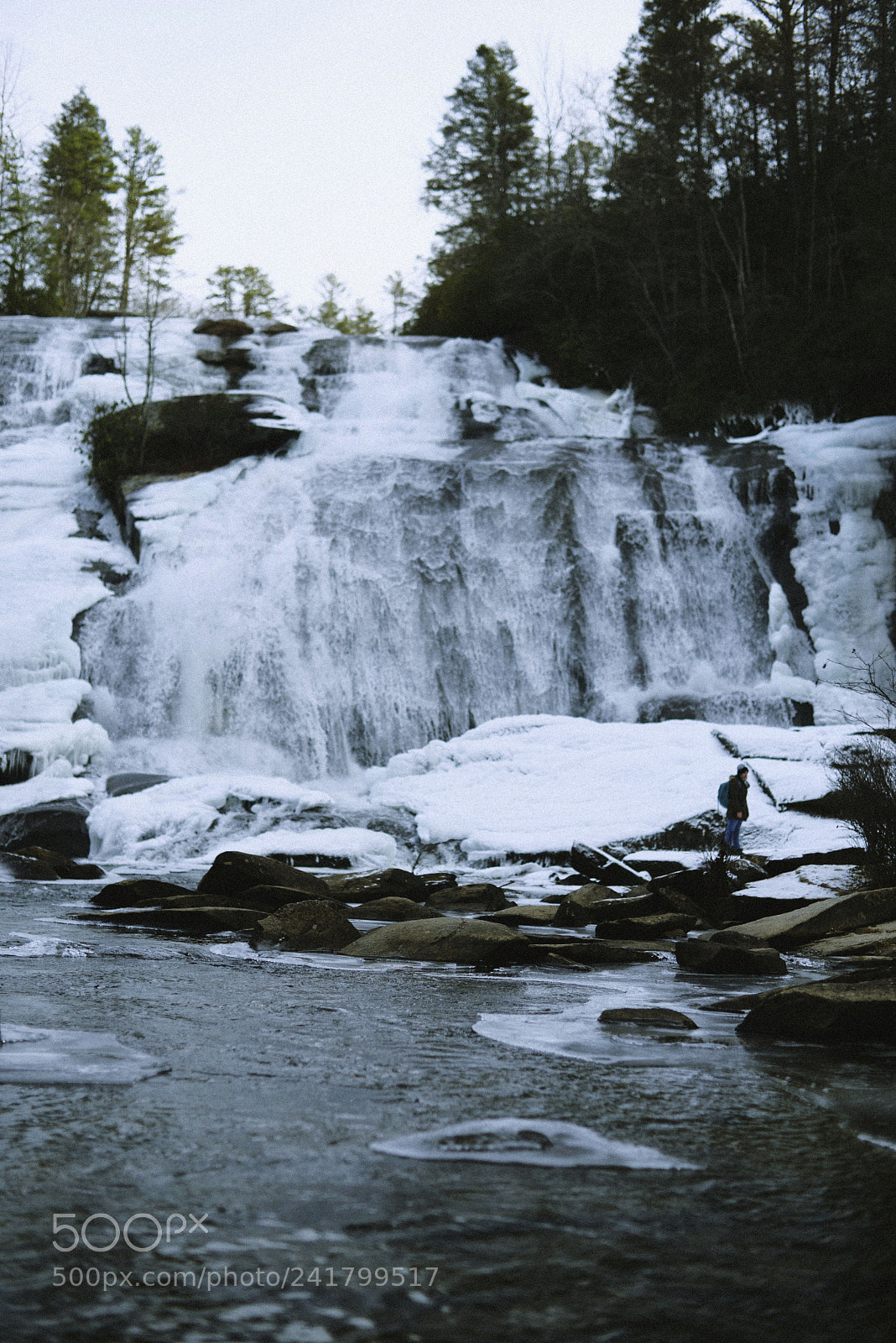 Nikon D600 sample photo. Frozen photography