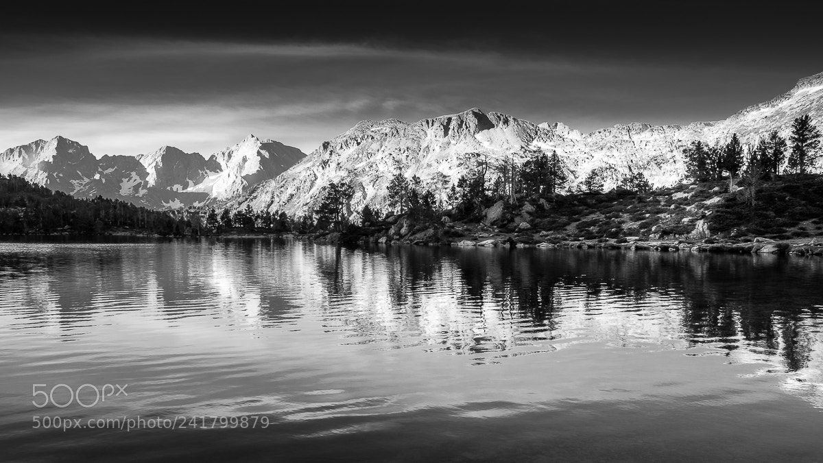 Nikon D5500 sample photo. Lake in black 3 photography
