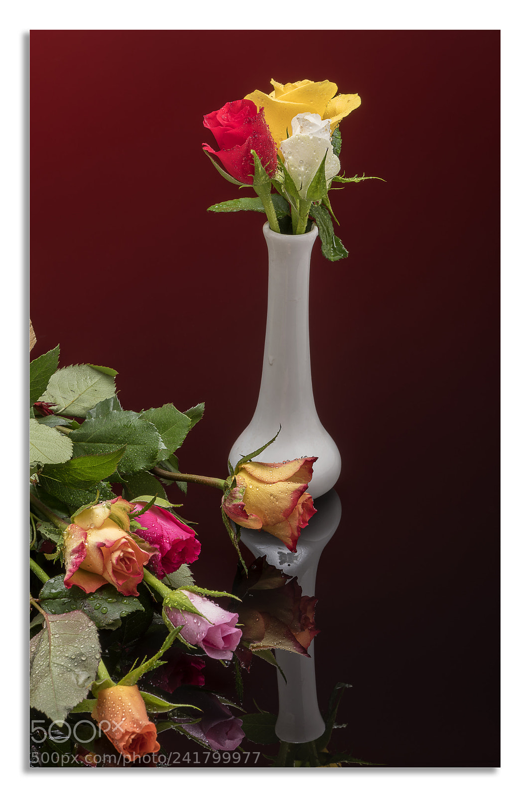Nikon D850 sample photo. Ray roses photography