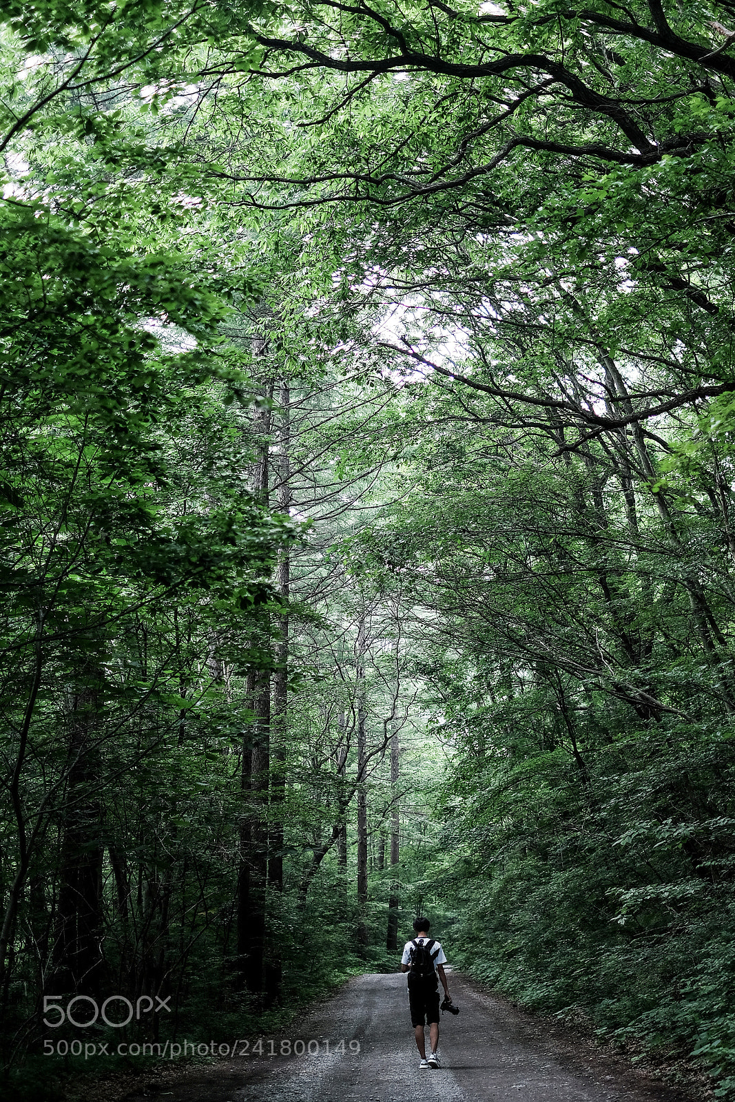 Fujifilm X-T10 sample photo. Selfie in the forest photography