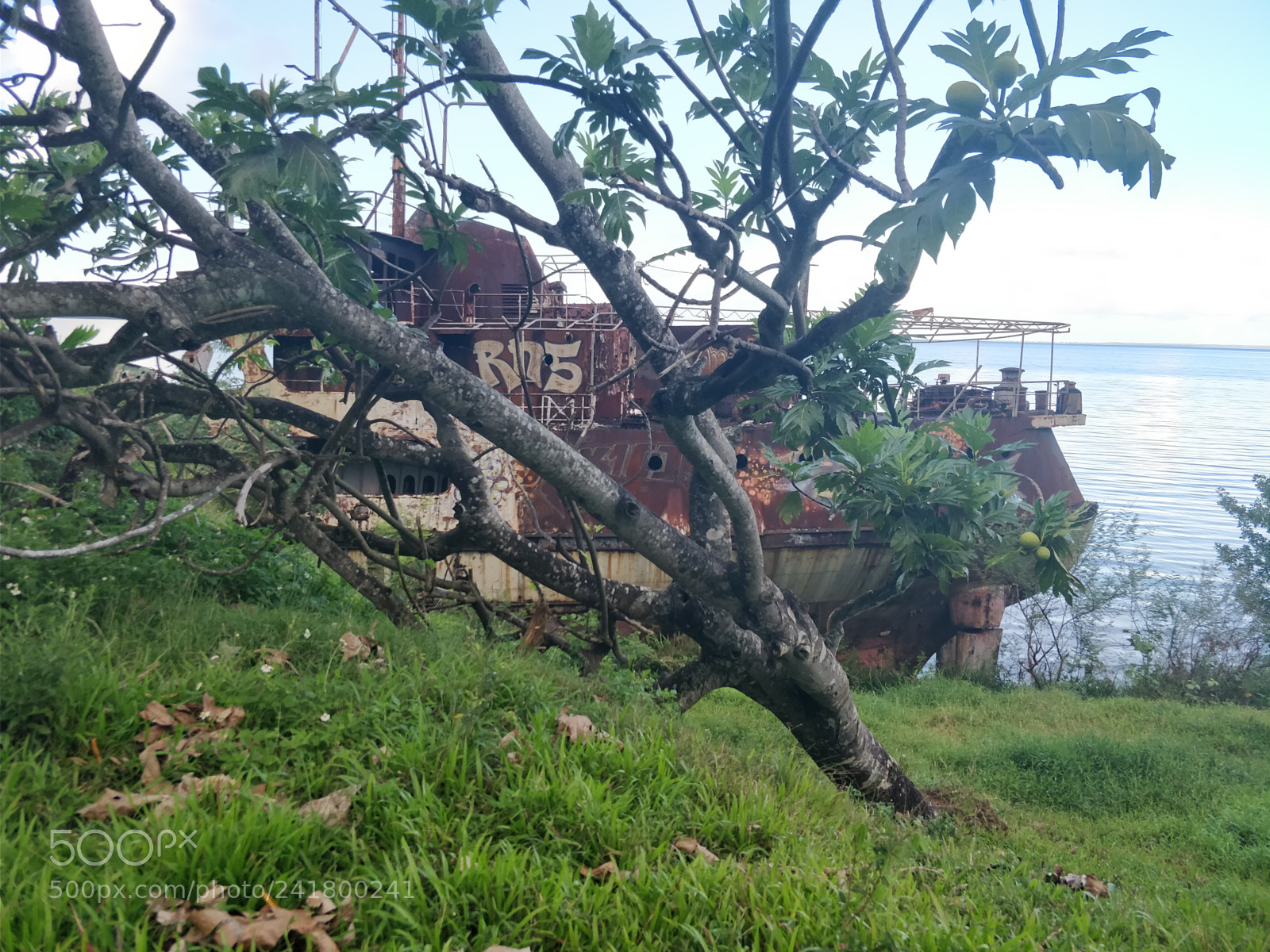 OnePlus 5 sample photo. Img_20171220_164033.jpg photography