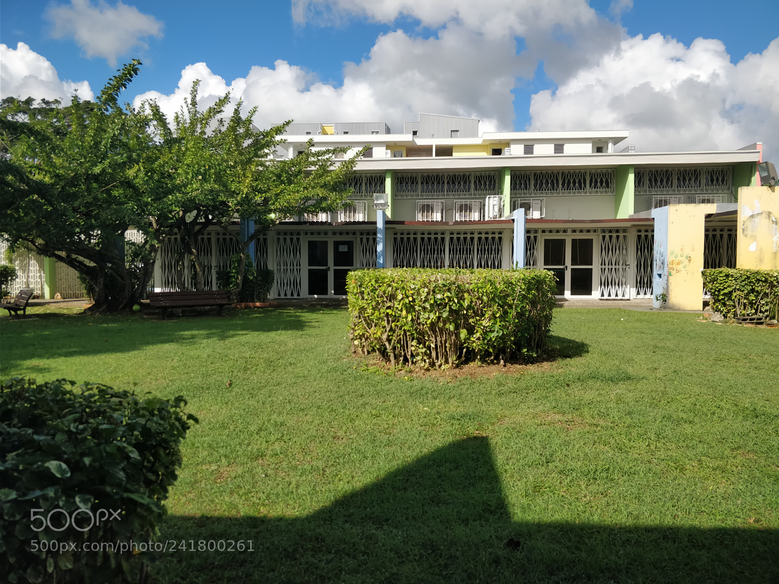 OnePlus 5 sample photo. Img_20171221_094811.jpg photography
