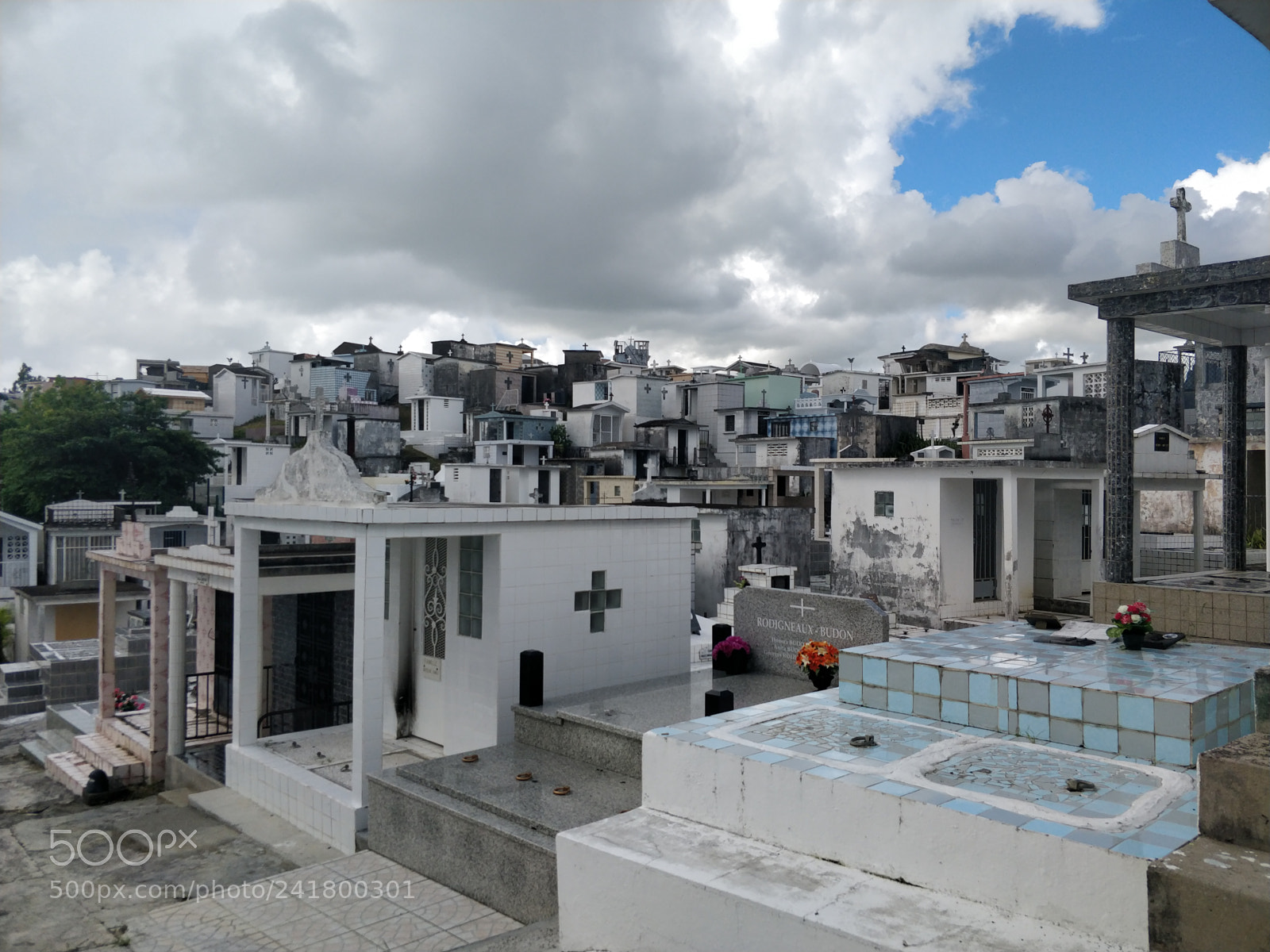 OnePlus 5 sample photo. Img_20171221_100731.jpg photography