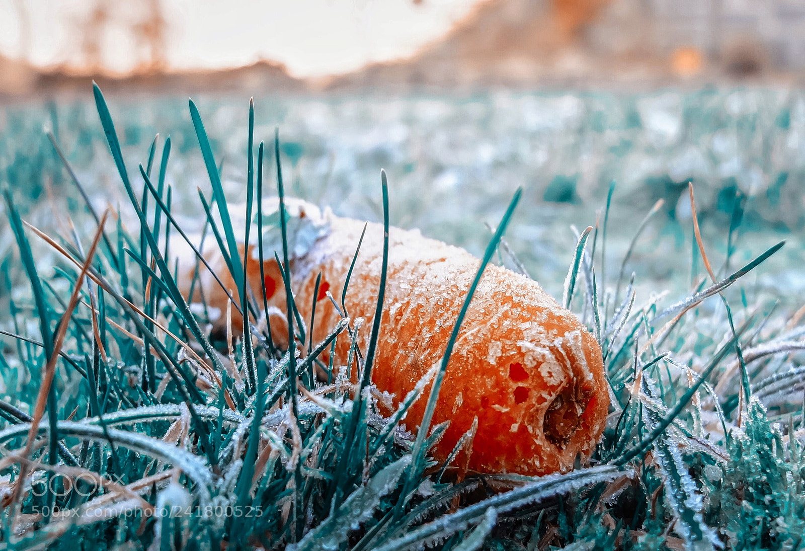 Fujifilm X10 sample photo. Frosty the snowman is photography