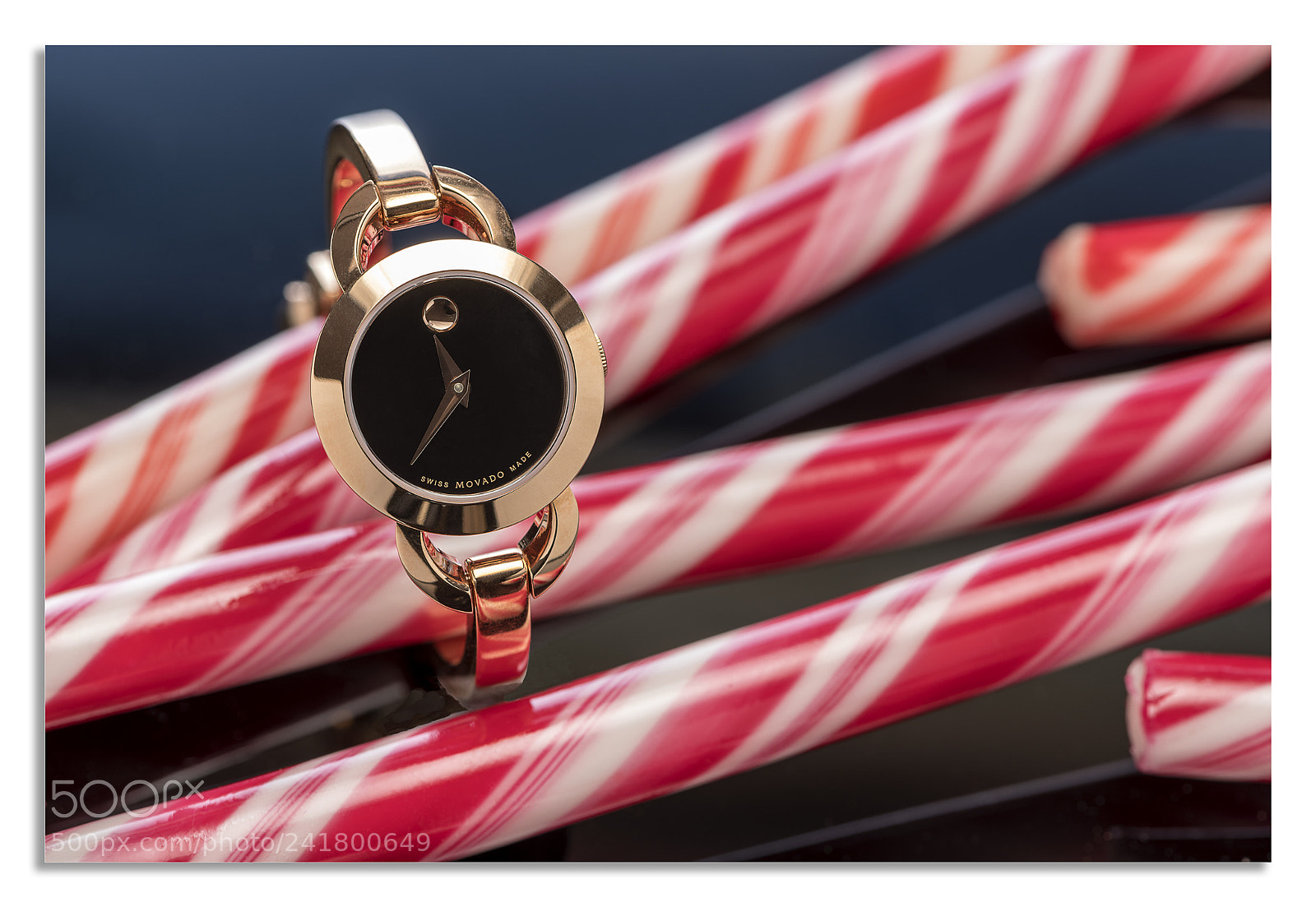 Nikon D850 sample photo. Looking movado. photography