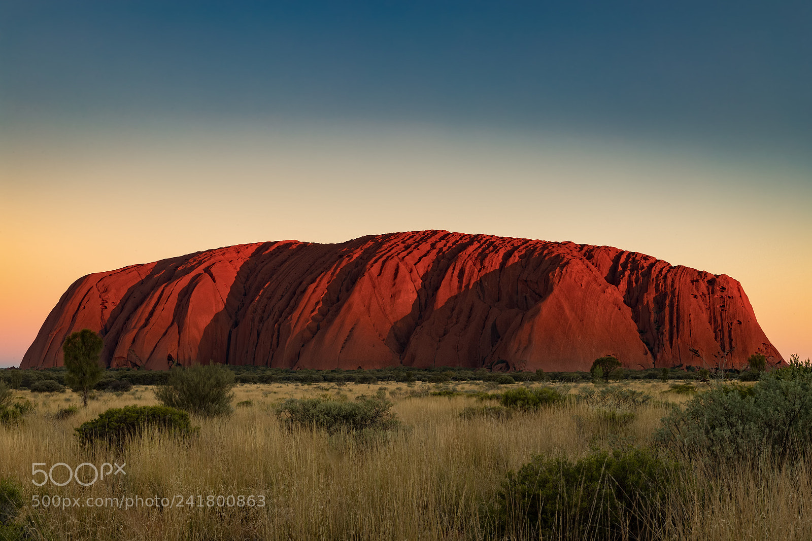 Canon EOS-1D X Mark II sample photo. Uluru/ayers rock photography