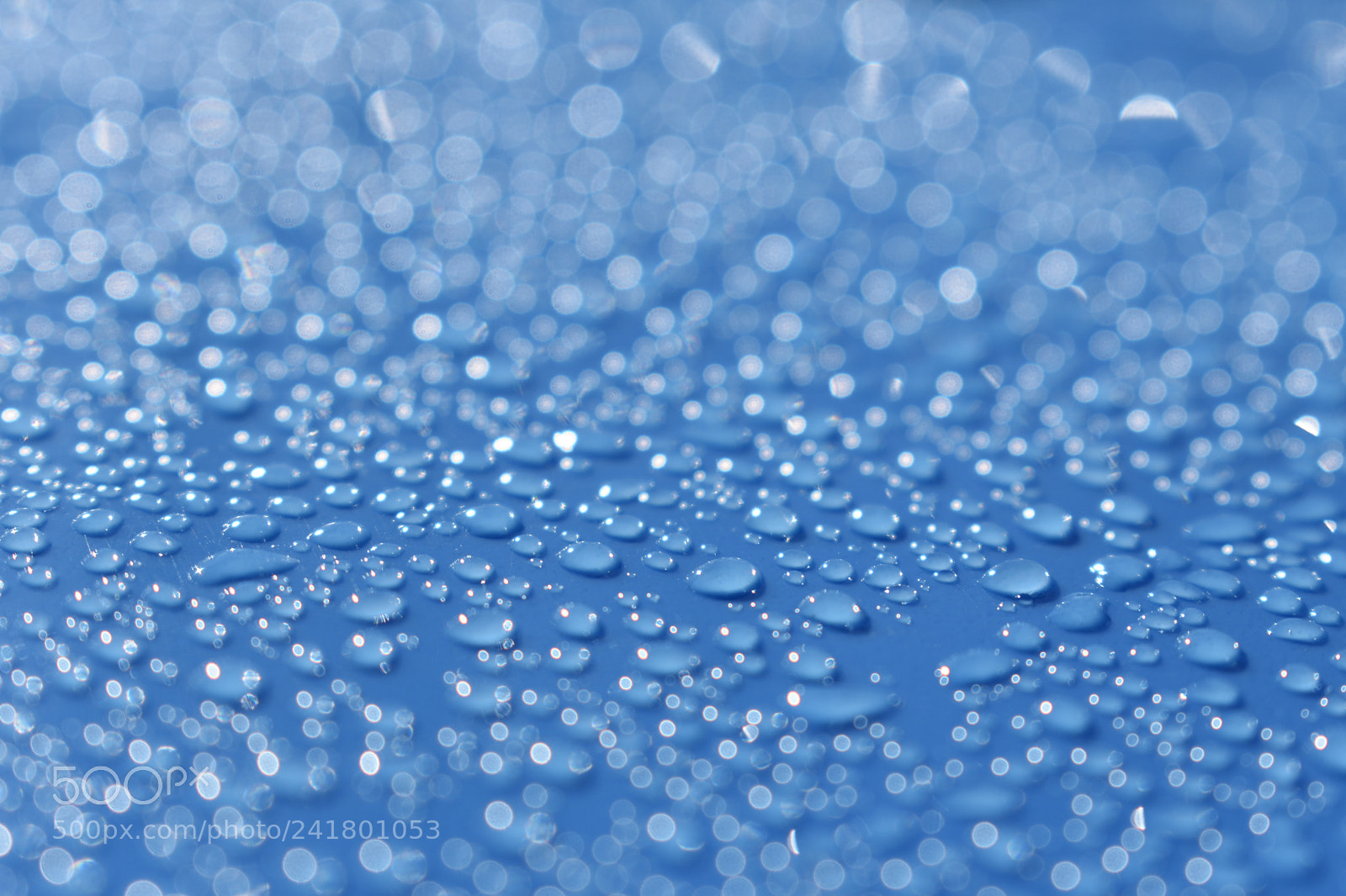 Nikon D3400 sample photo. Drip drop i got photography