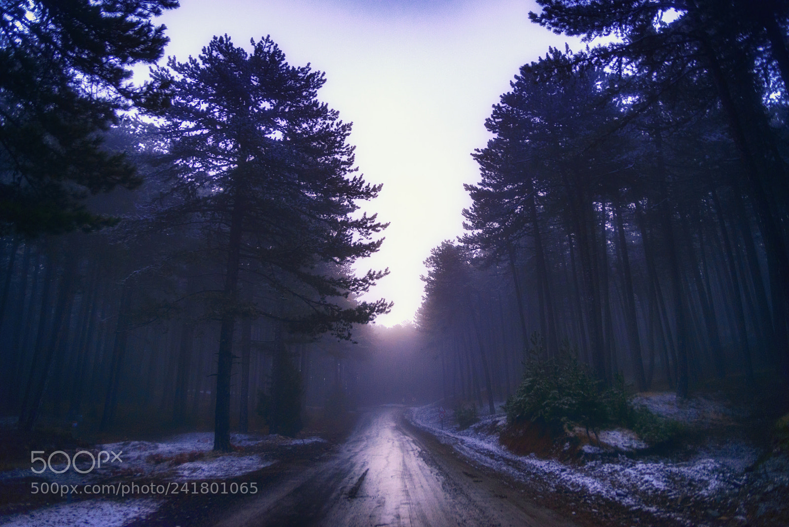 Nikon D800E sample photo. Winter road photography