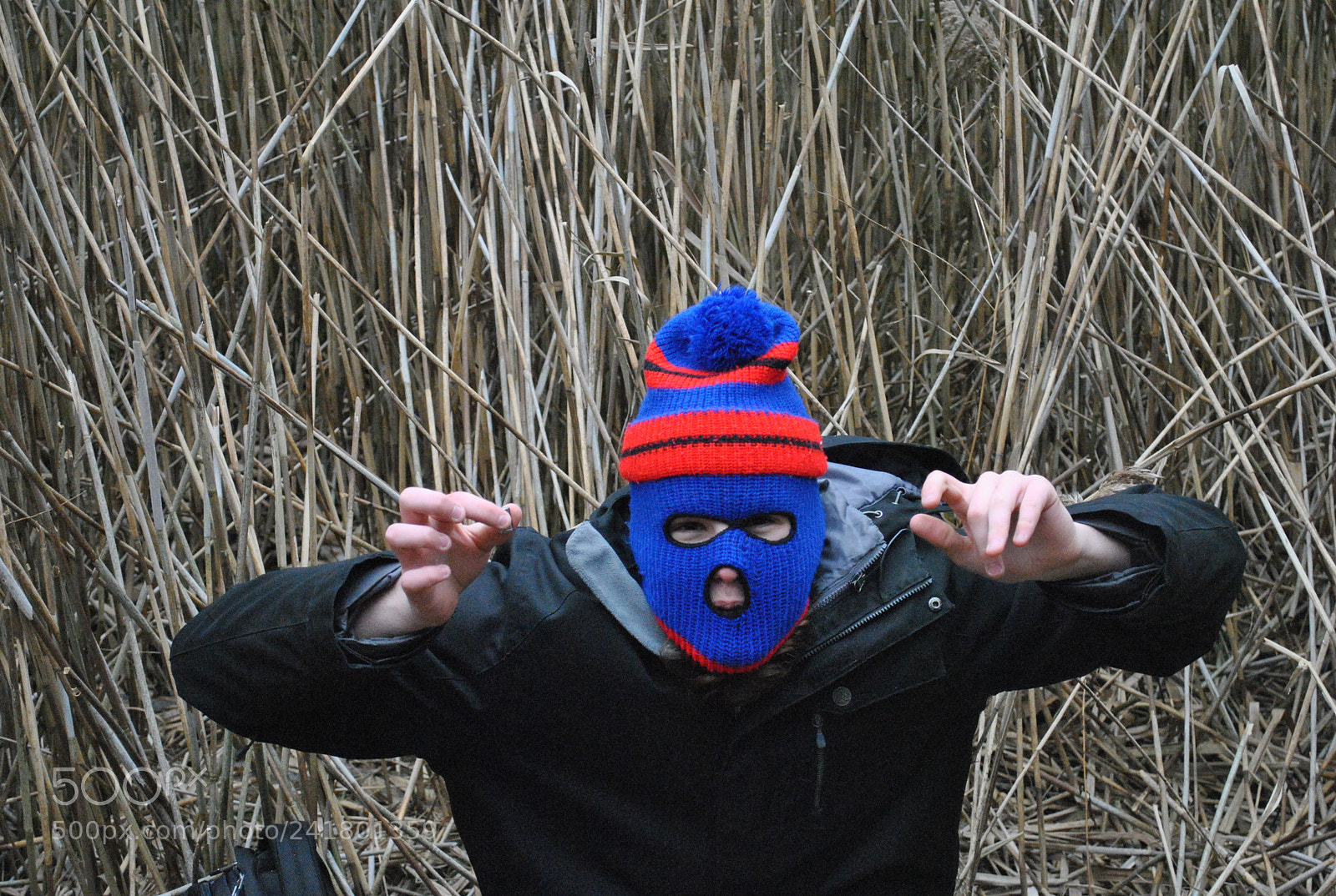 Nikon D3000 sample photo. King scrabba photography