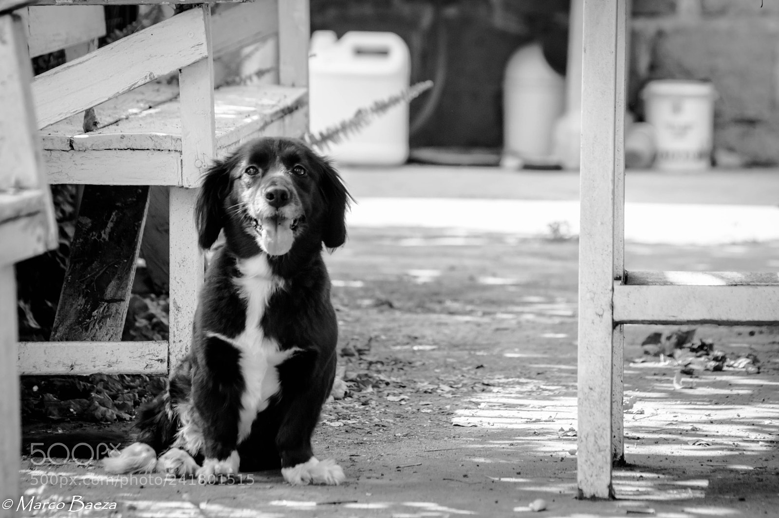 Nikon D3200 sample photo. Chela photography
