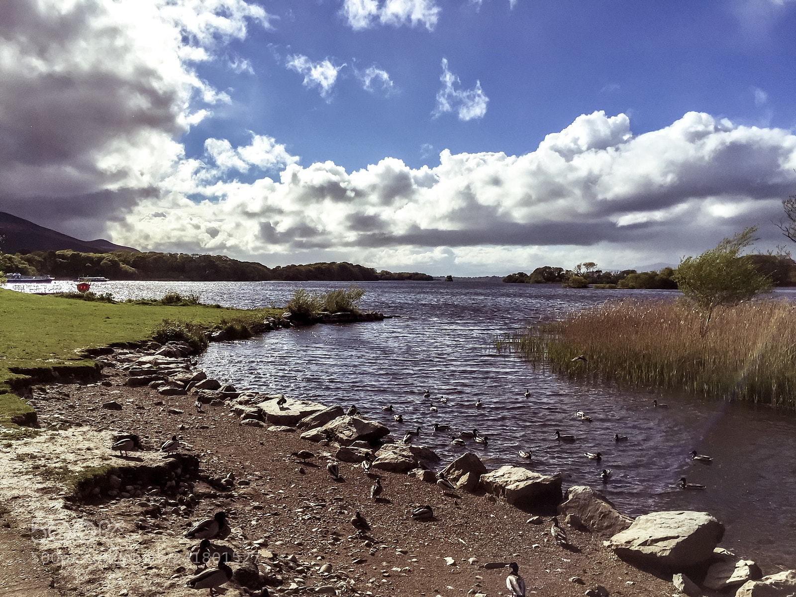 Apple iPhone 6 Plus sample photo. Irish coast photography