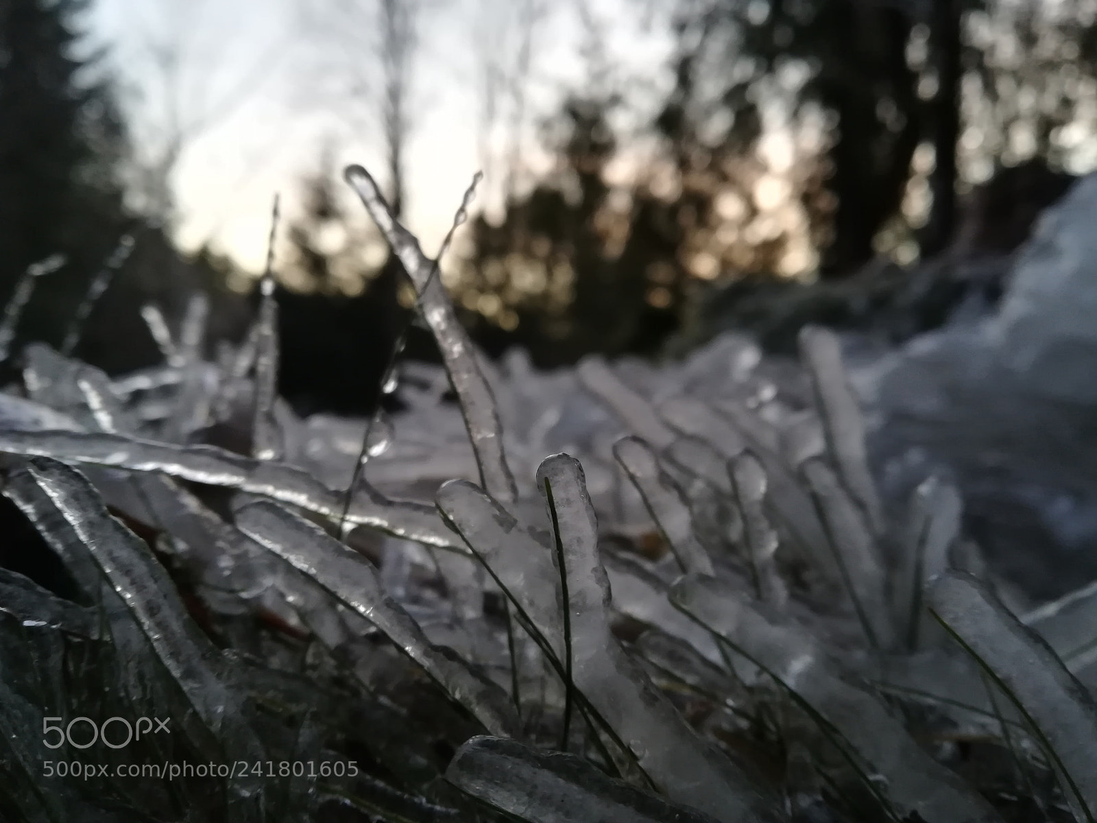 HUAWEI P10 lite sample photo. Untitled photography