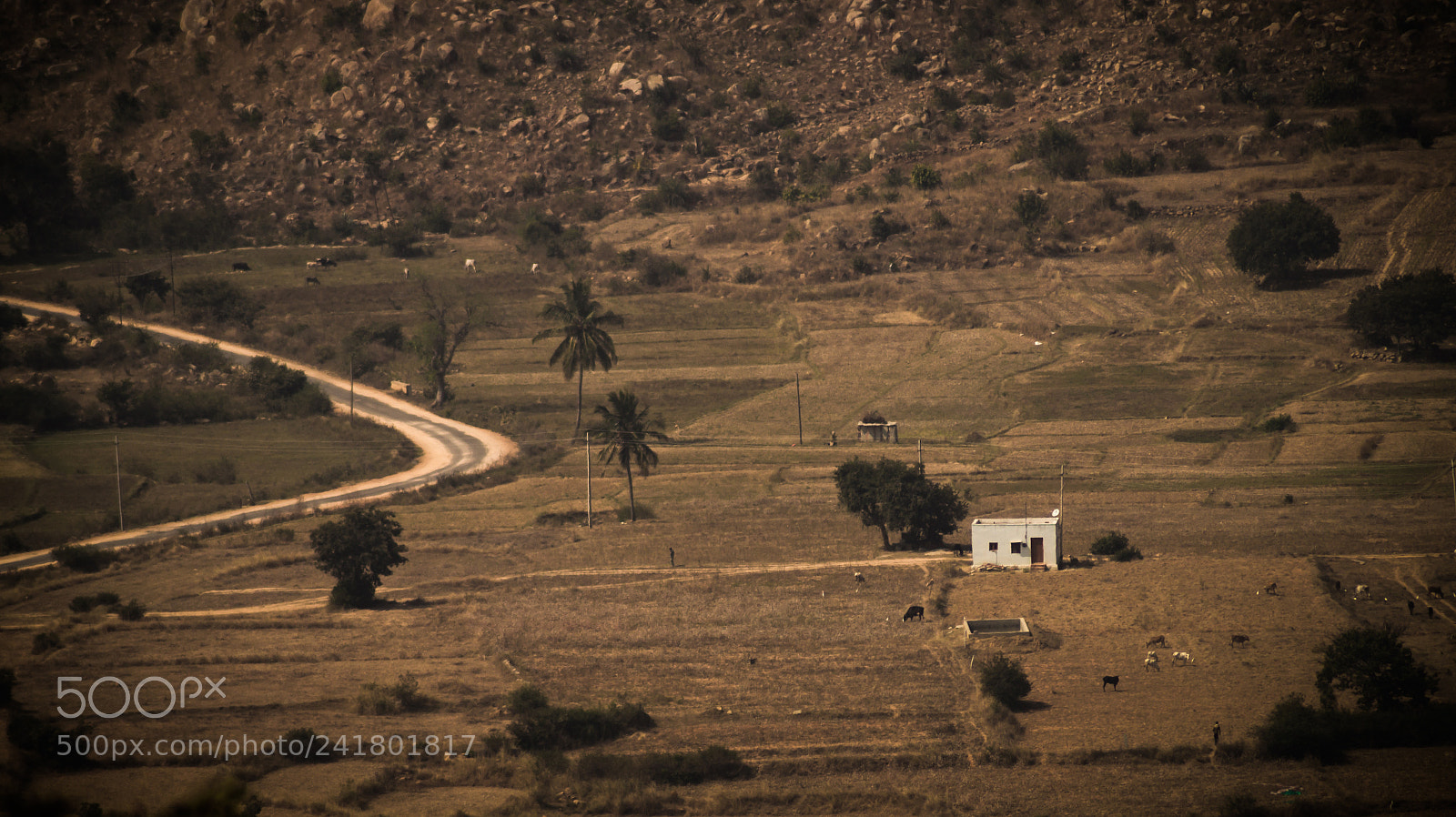 Sony SLT-A58 sample photo. Solitude photography
