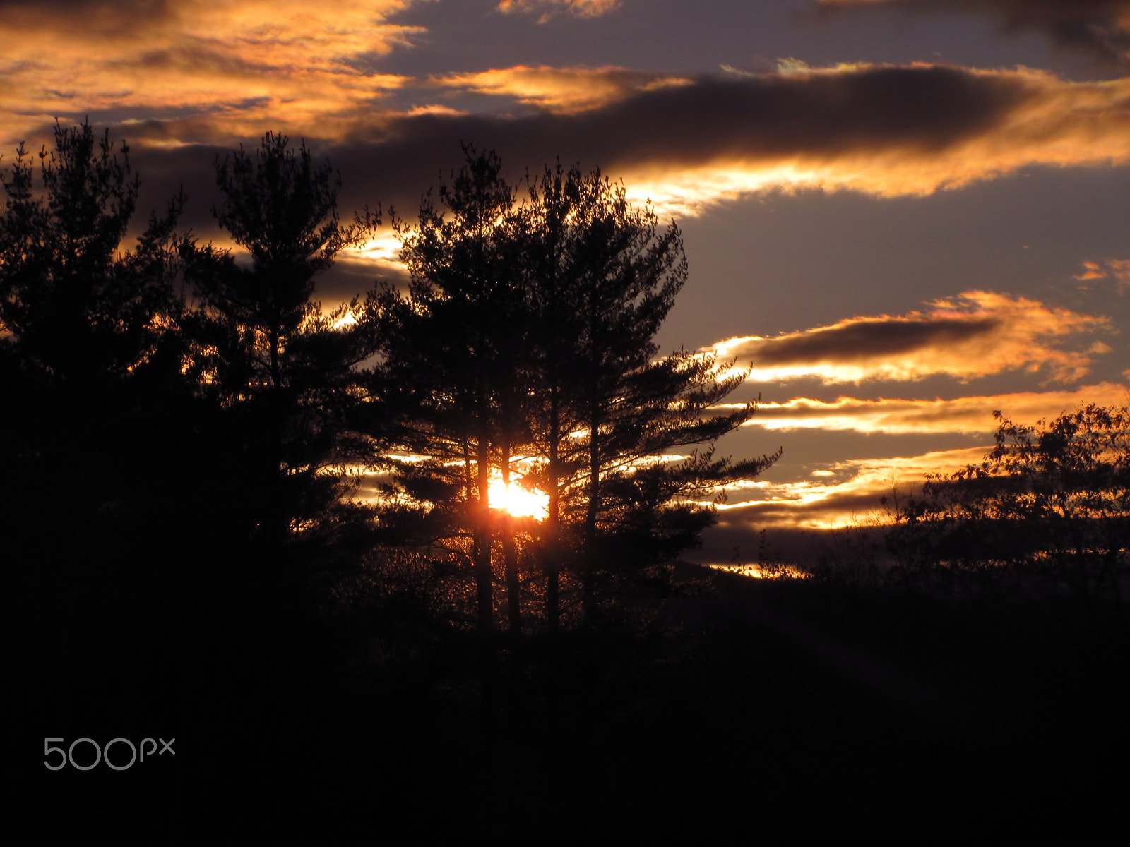 Canon PowerShot SX120 IS sample photo. Sunset through the trees photography