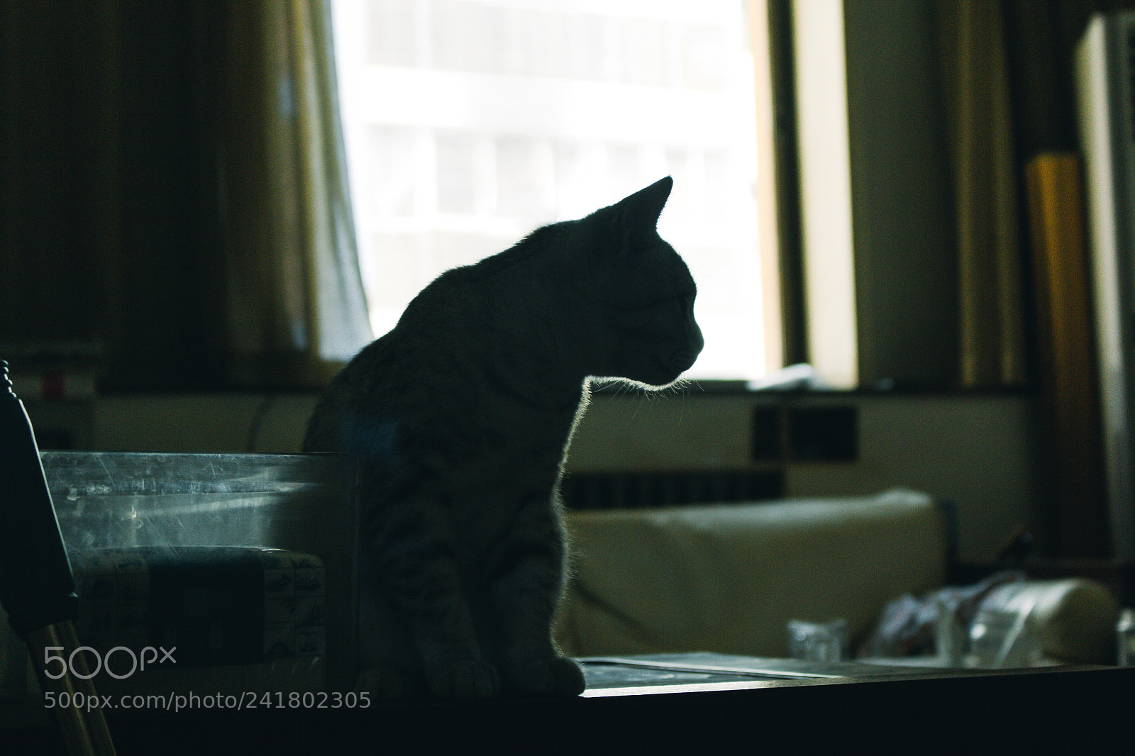Canon EOS 60D sample photo. Img photography