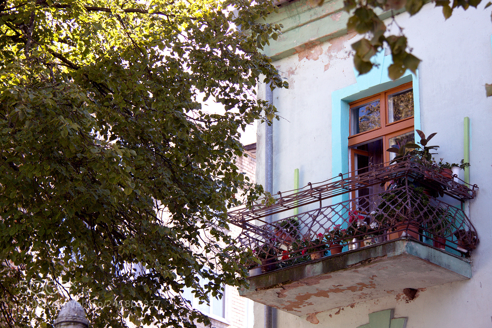 Canon EOS 500D (EOS Rebel T1i / EOS Kiss X3) sample photo. Img photography