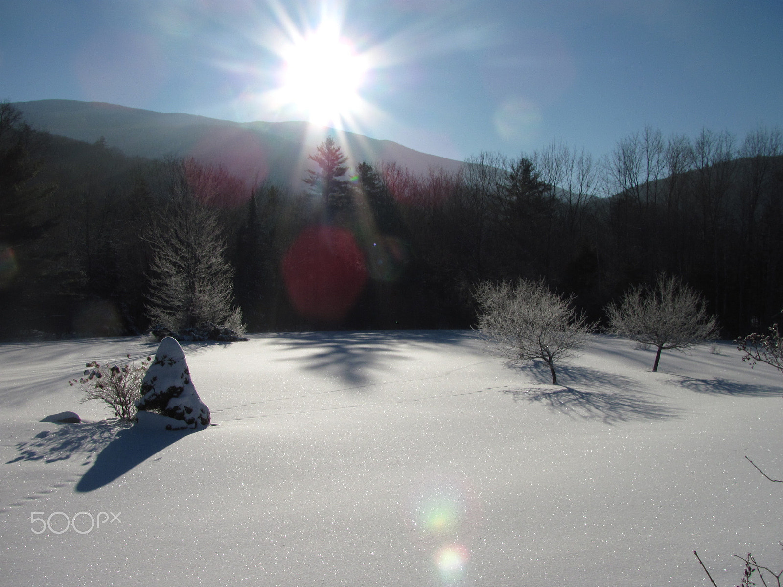 Canon PowerShot SX120 IS sample photo. Morning after the snow photography