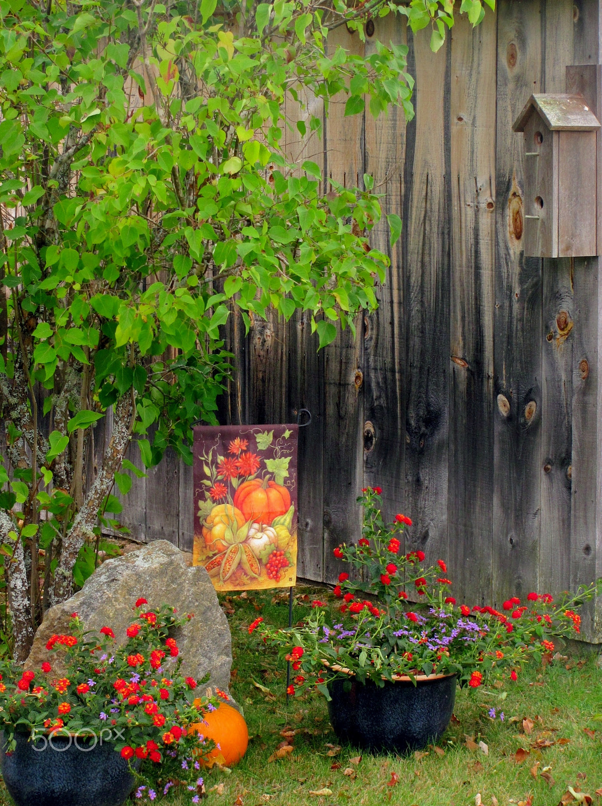Canon PowerShot SX120 IS sample photo. Bluebird house on barn photography