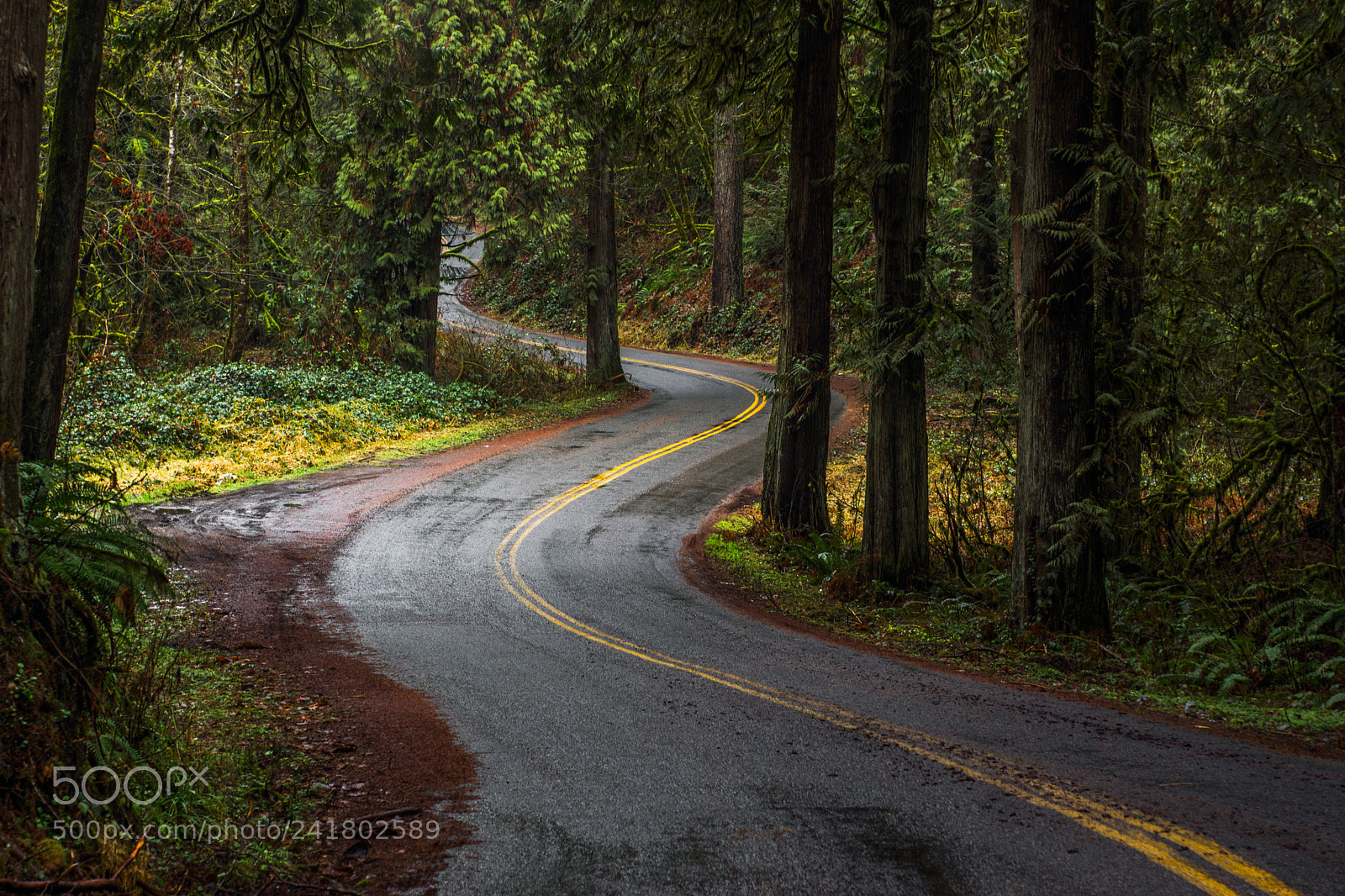 Sony SLT-A77 sample photo. Winding road through the photography