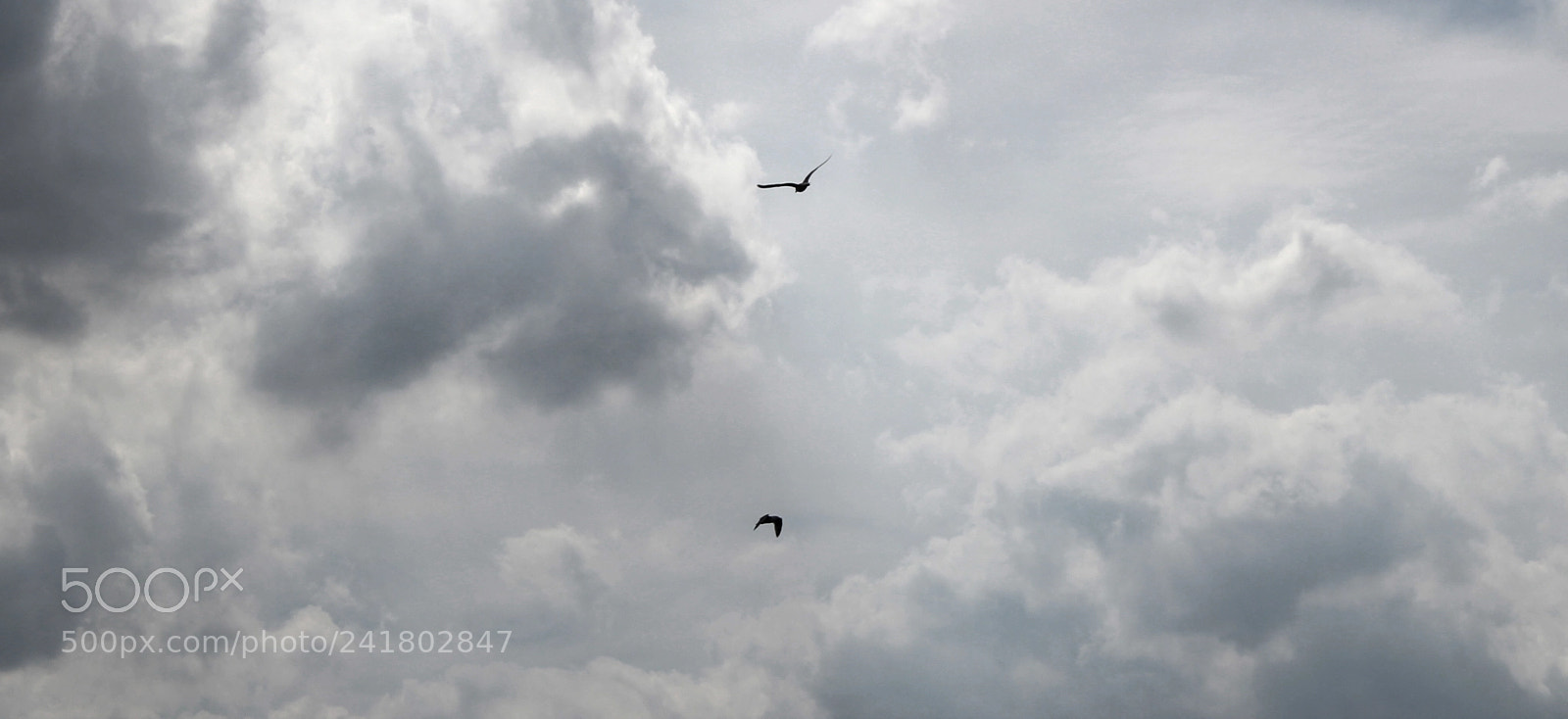 Canon EF-S 18-55mm F3.5-5.6 III sample photo. Above the clouds photography