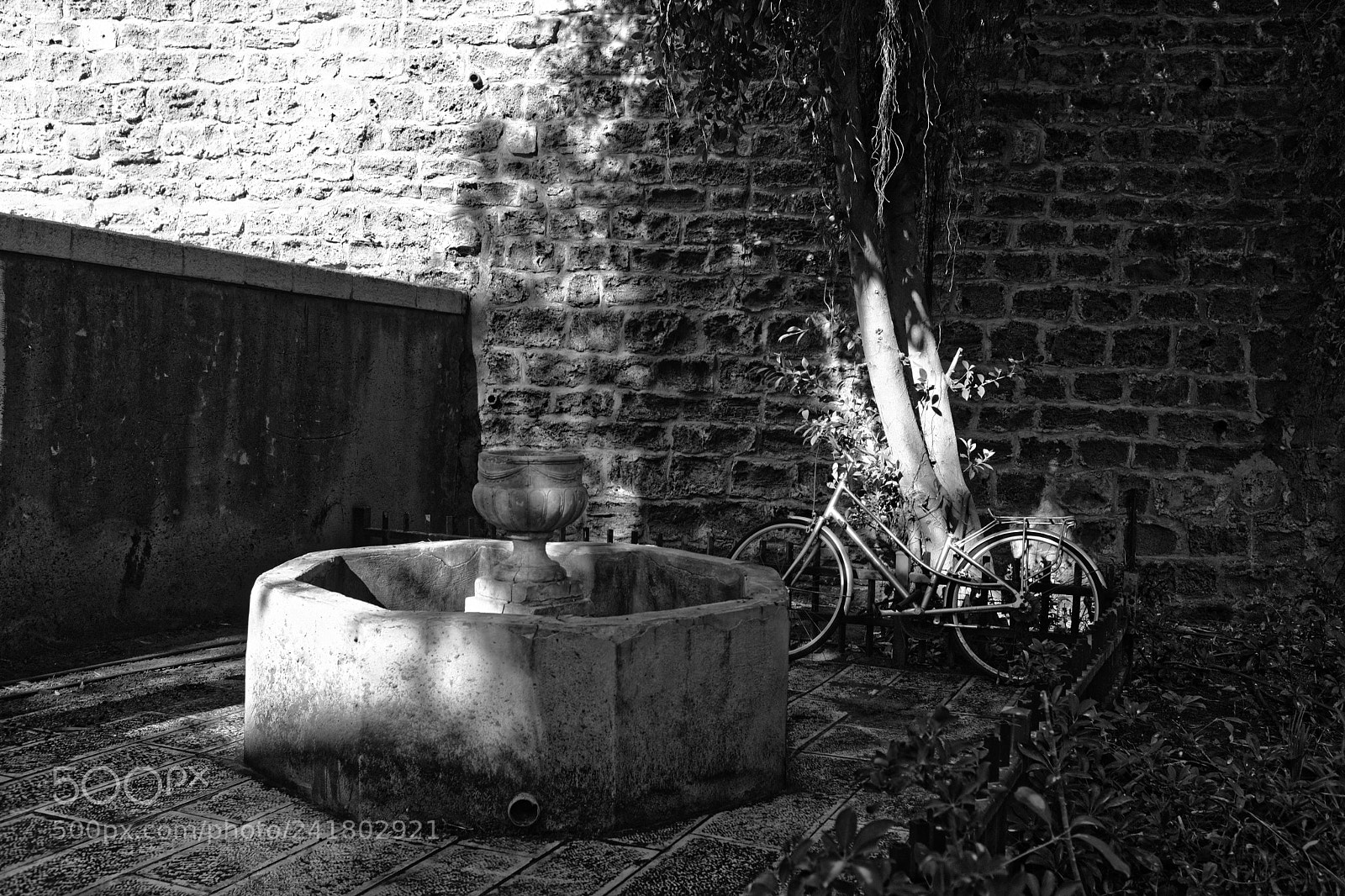 Fujifilm X100F sample photo. Early morning in the photography