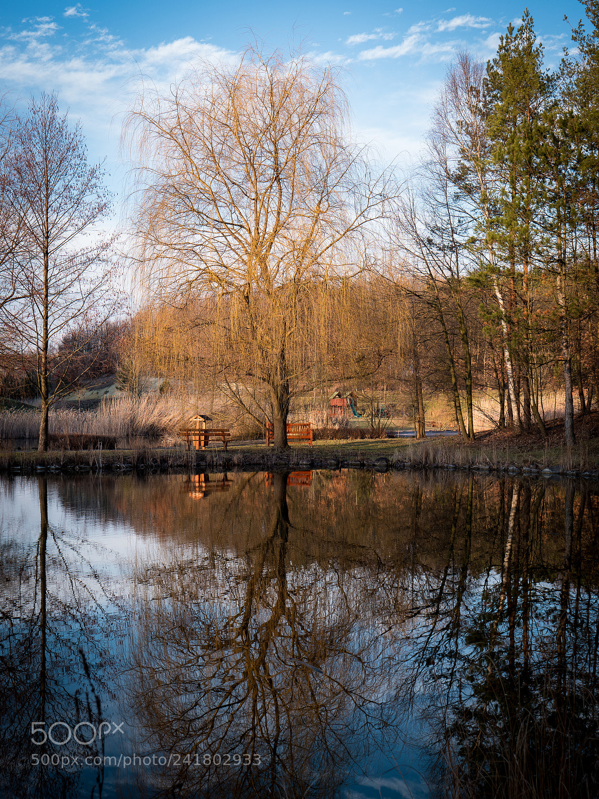 Panasonic Lumix DC-GH5 sample photo. Trees in reflection photography
