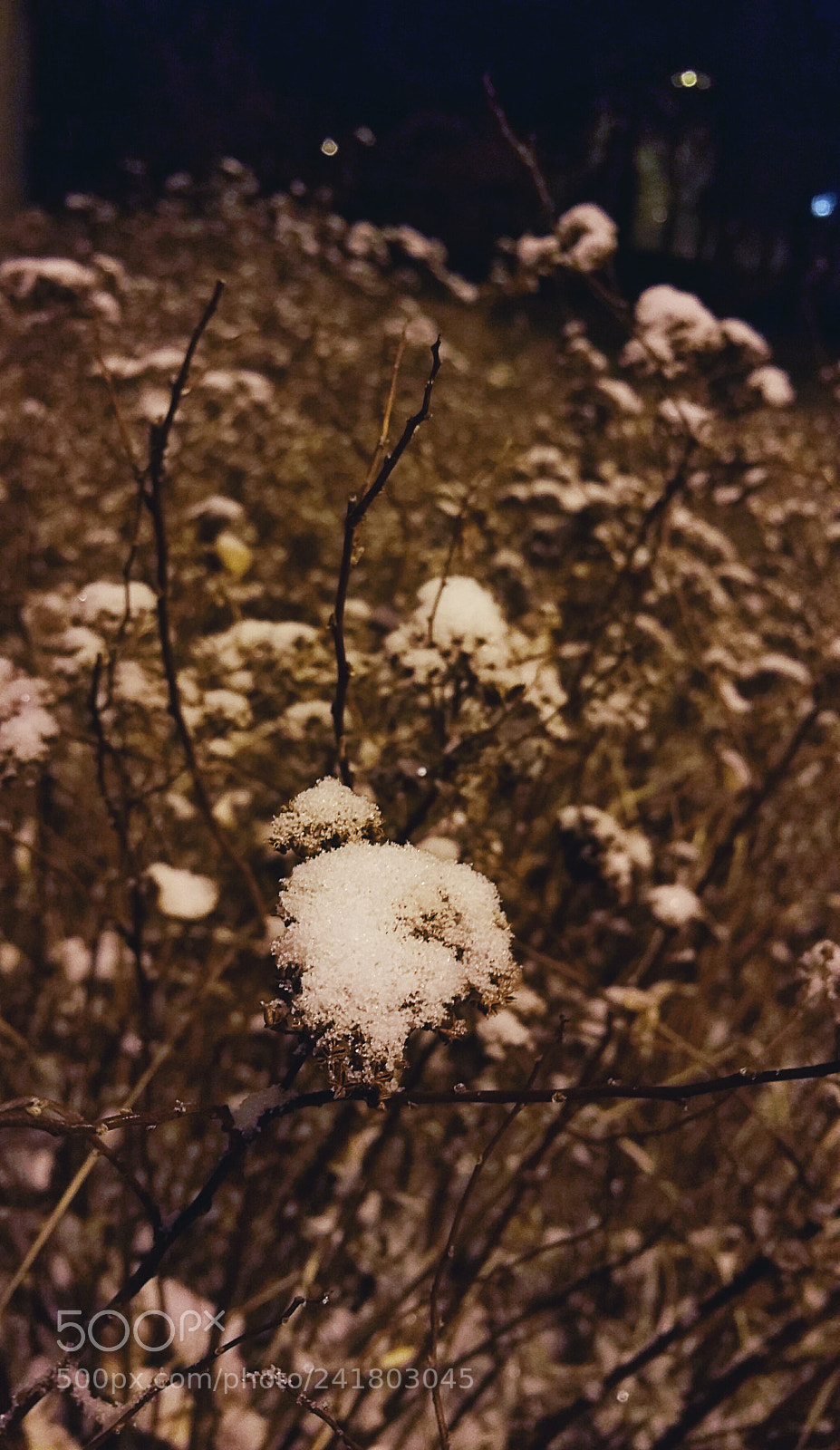 Samsung Galaxy Note4 sample photo. Untitled photography