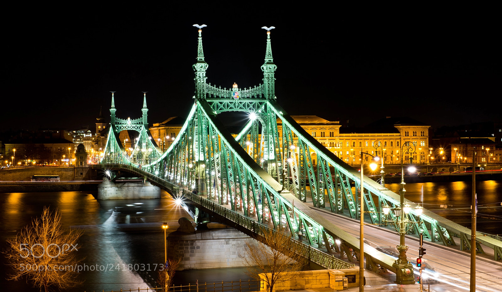 Nikon D7100 sample photo. Liberty bridge (budapest). photography
