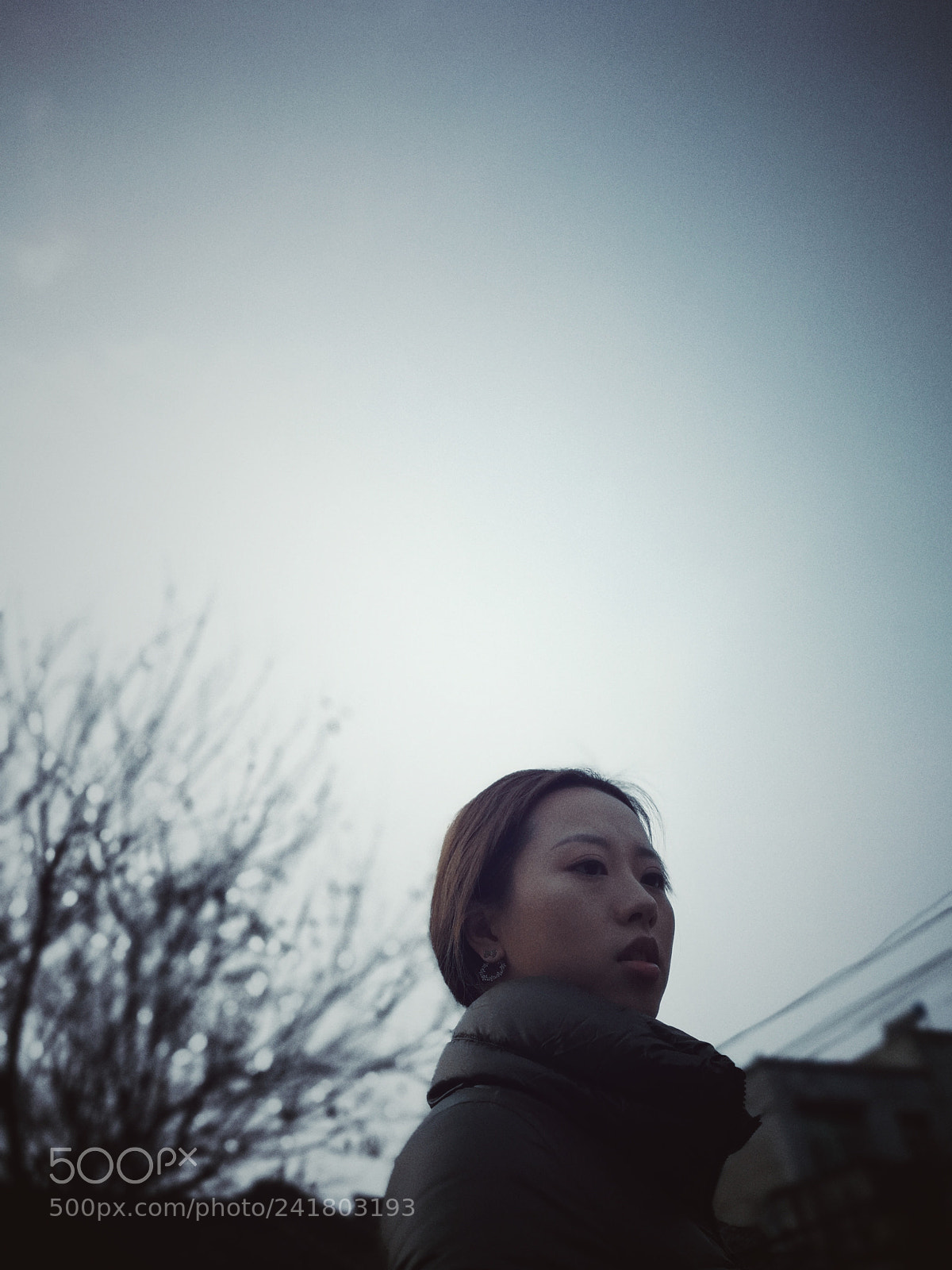 HUAWEI P10 Plus sample photo. Untitled photography