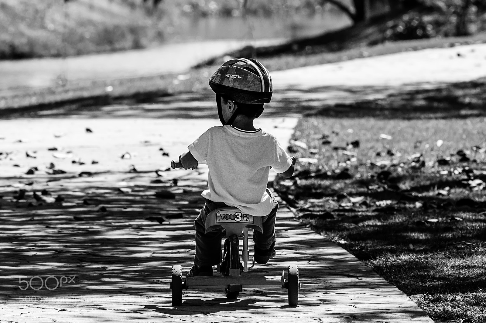 Nikon D500 sample photo. I remembered ayrton senna photography