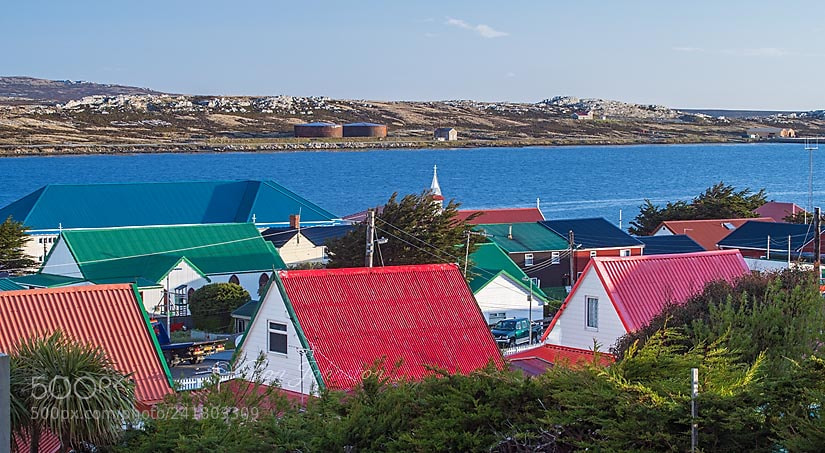 Nikon D850 sample photo. Falkland islands wildlife photography