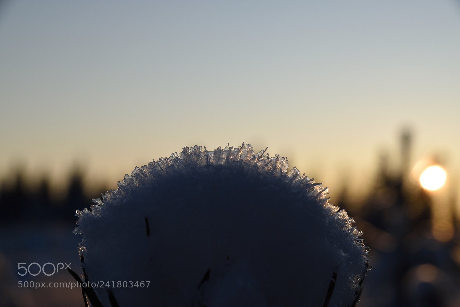 Nikon D5500 sample photo. Snowflake photography