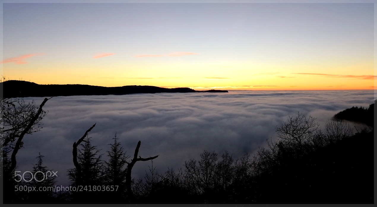 HUAWEI Mate 10 Pro sample photo. Fog's sea photography