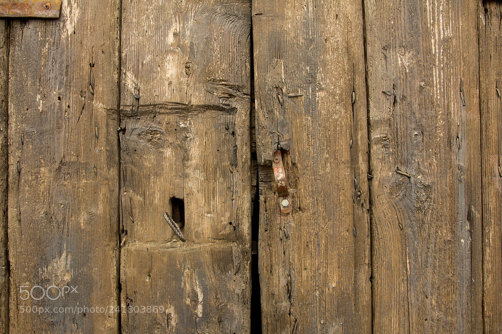 Canon EOS 60D sample photo. Img photography