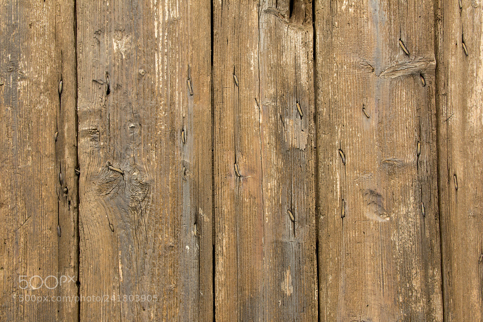 Canon EOS 60D sample photo. Img photography