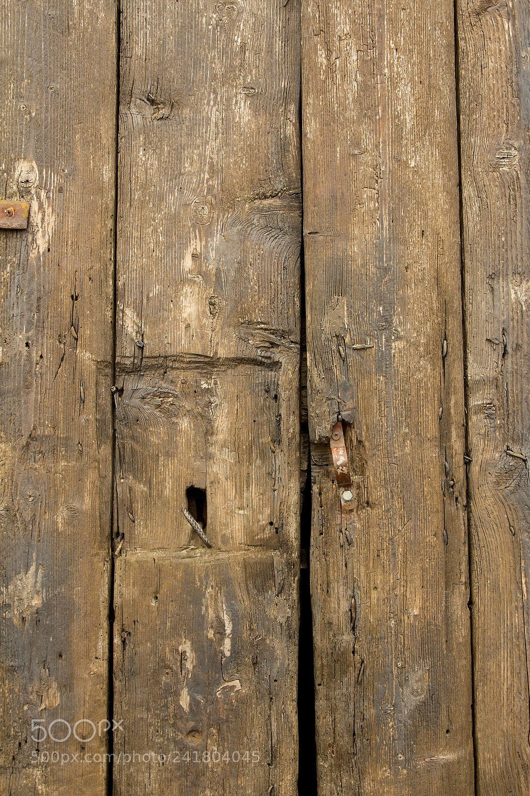 Canon EOS 60D sample photo. Img photography