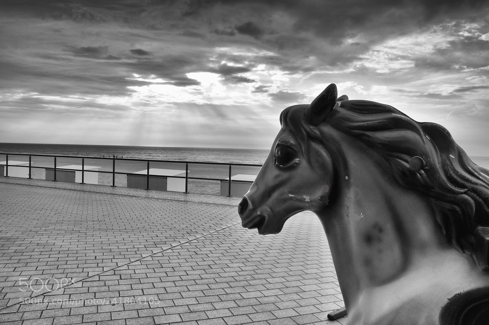 Nikon D5000 sample photo. B&w012 photography