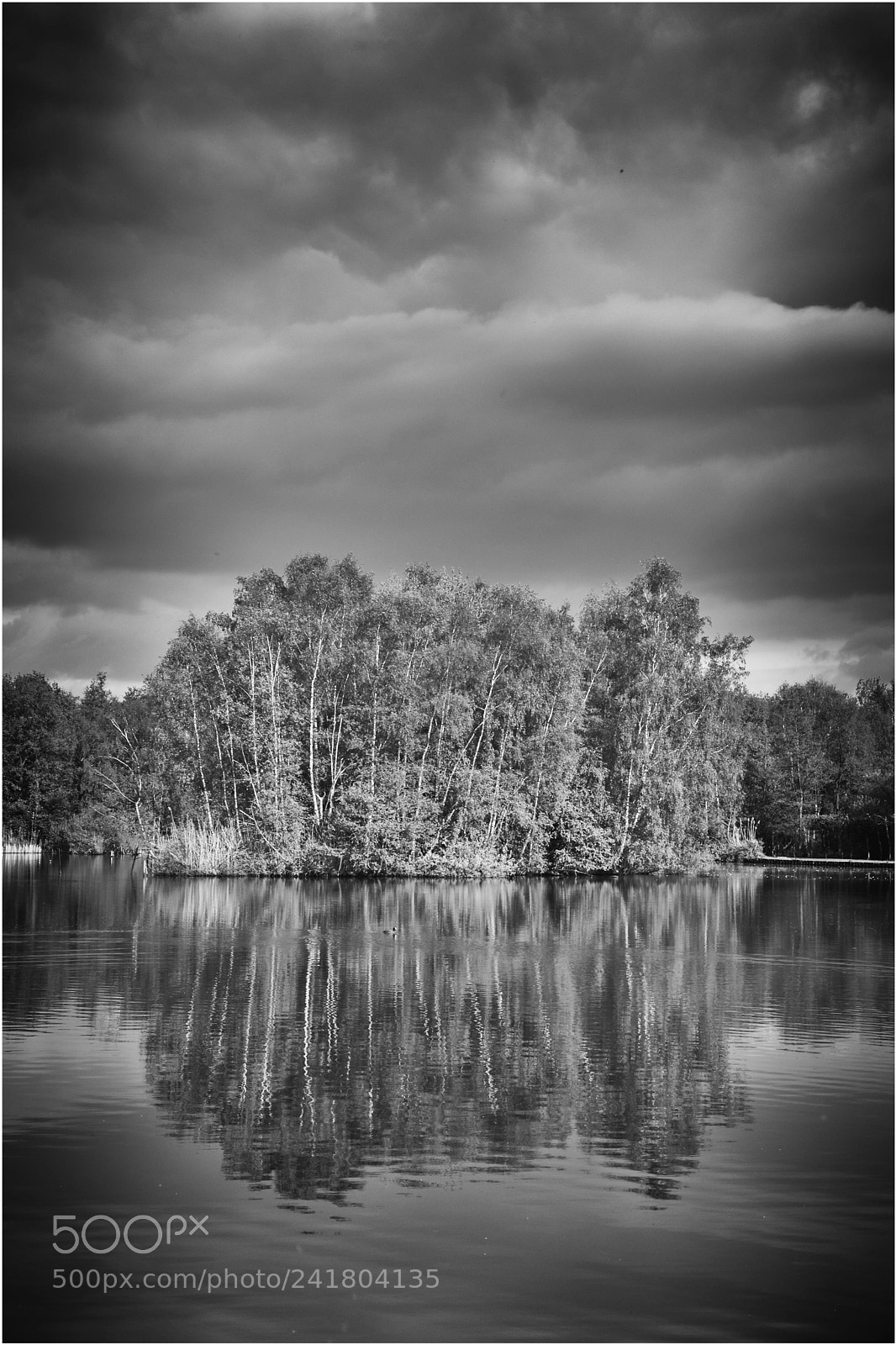 Nikon D7200 sample photo. B&w014 photography