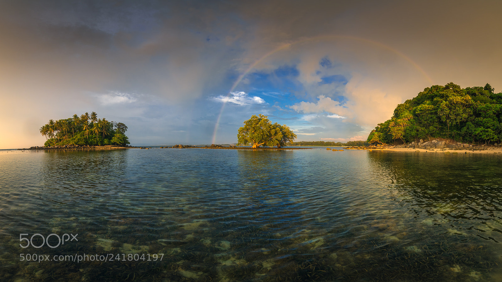 Nikon D850 sample photo. After a storm comes photography