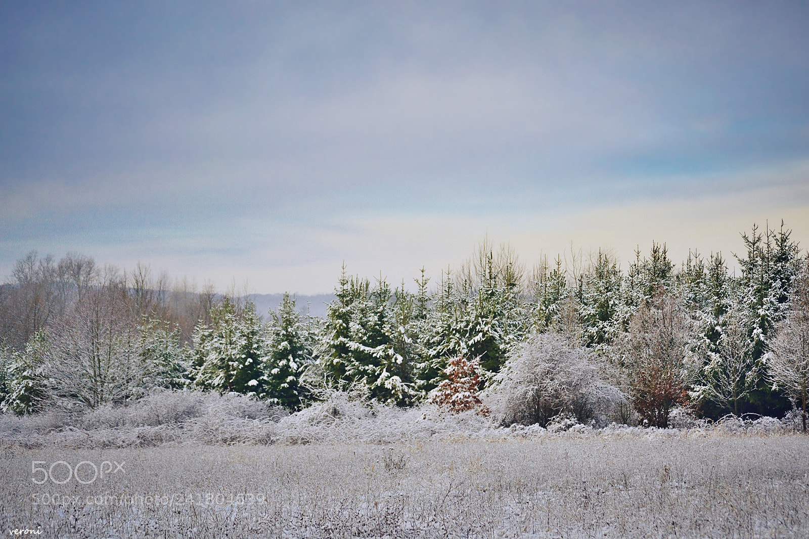 Nikon D3100 sample photo. Winter landscape photography