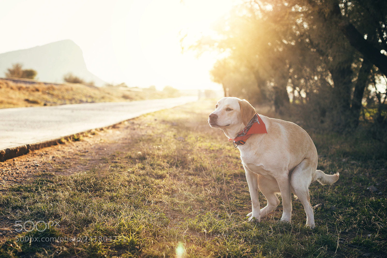 Canon EOS 5DS R sample photo. Bad moment photography